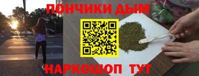 индика Жуковский